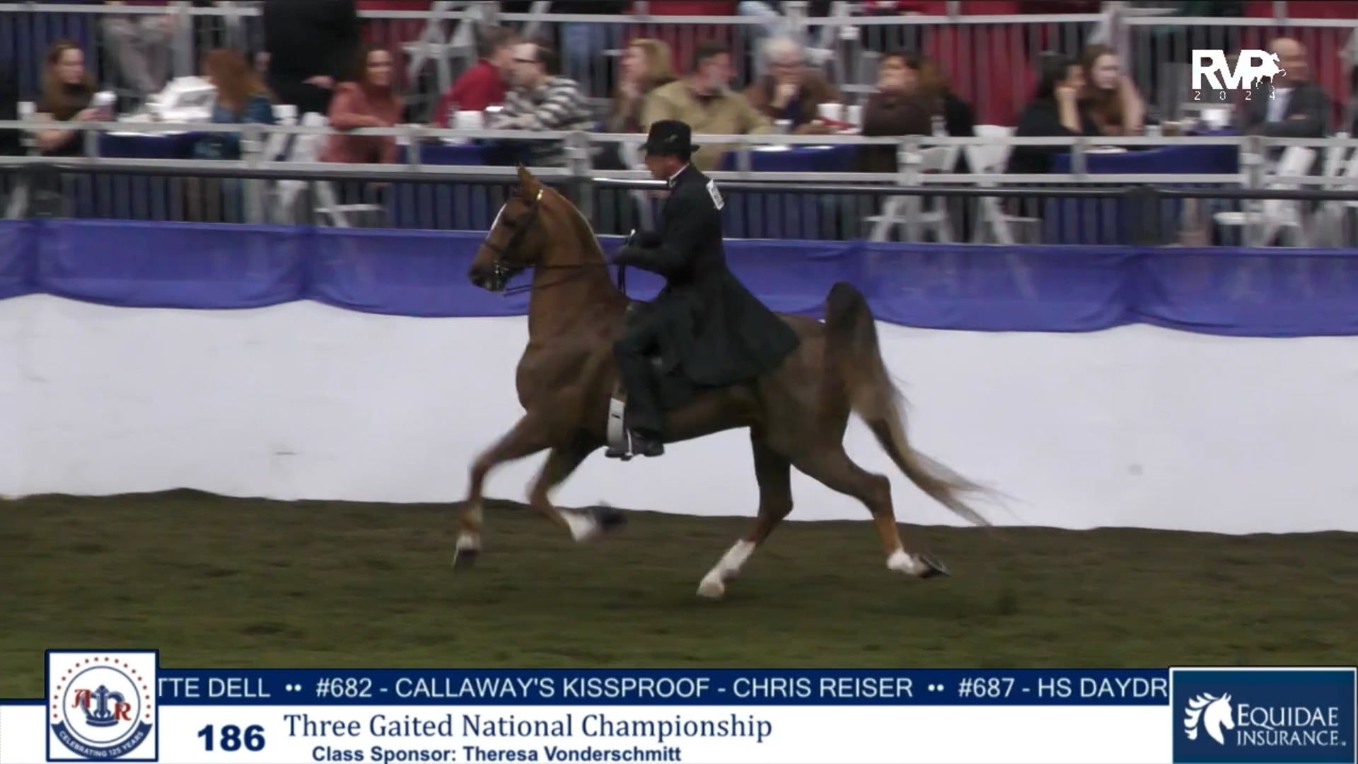 AR24 - Class 186 - Three Gaited National Championship