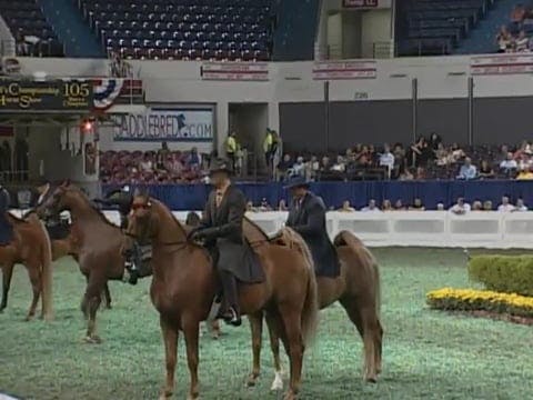 2008 WCHS Class 92 Amateur Gentlemen ...
