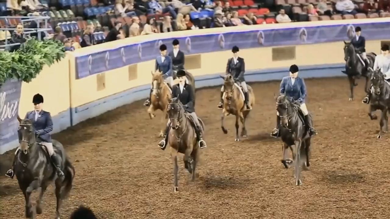 2022 Jubilee Horse Show Wednesday Evening Richfield Video
