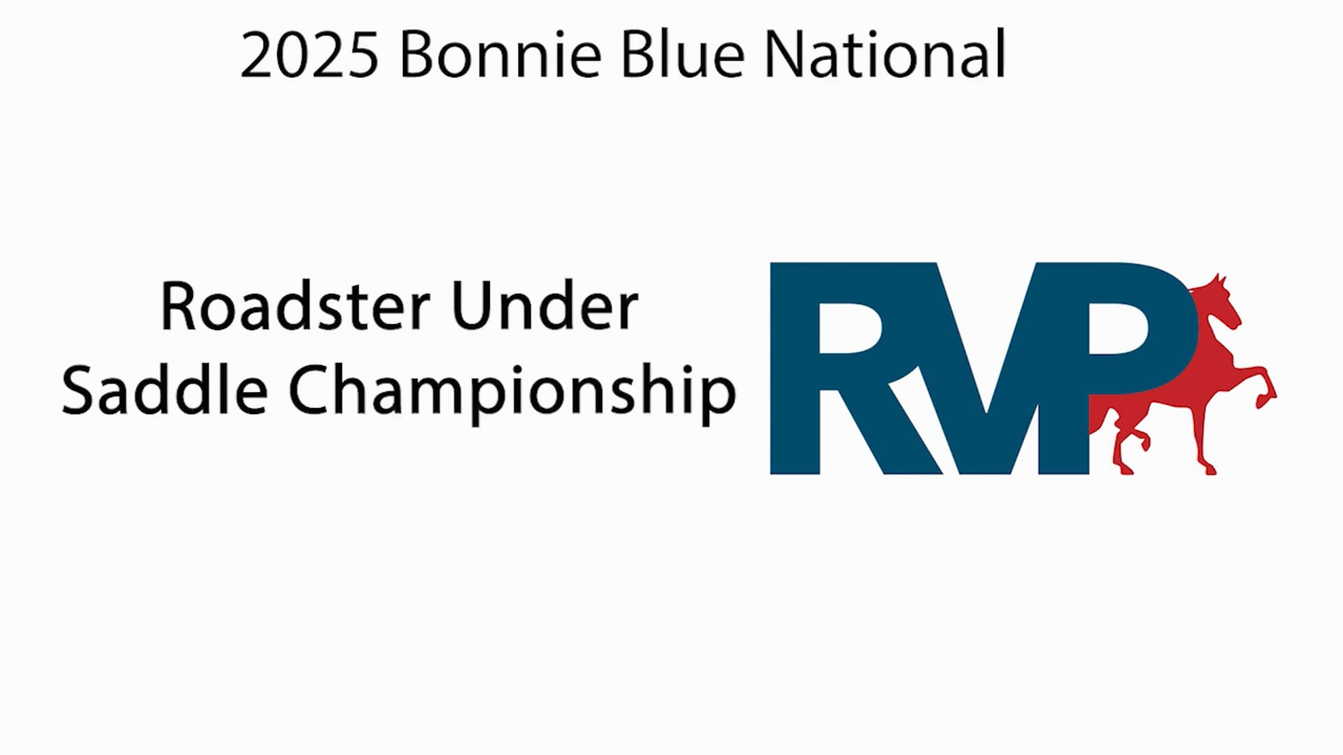 BB25 - Class 91 - Roadster Under Saddle Championship
