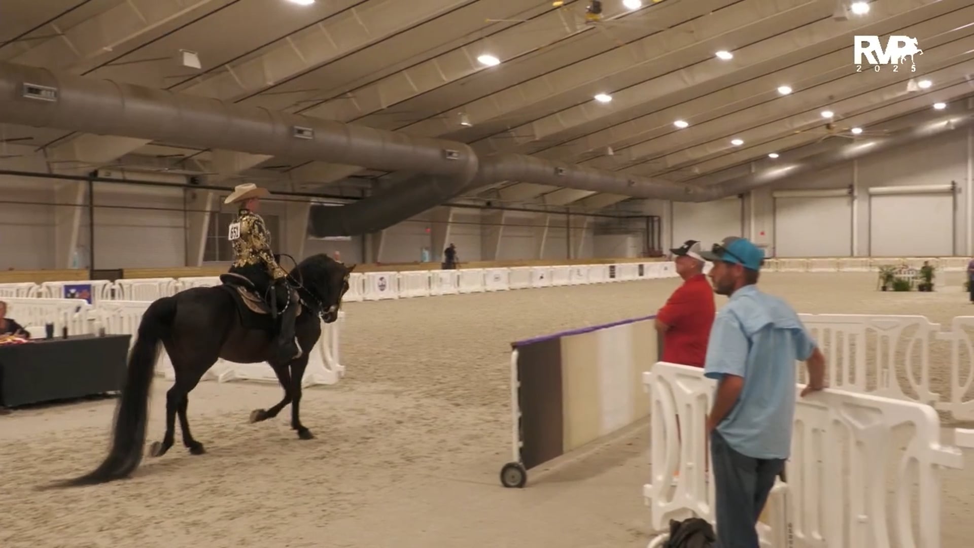 CC25 - Class 97 - Morgan Western Pleasure Amateur Stallion-Gelding