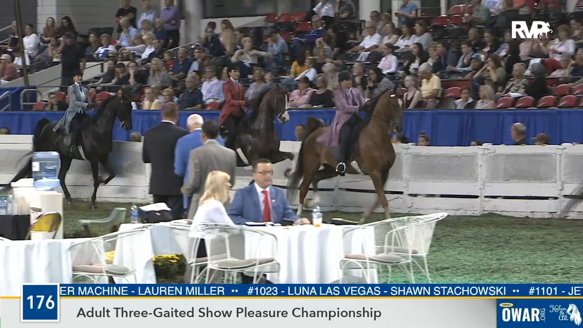 2019 WCHS - Class 176 Adult Three Gaited Show Pleasure Championship