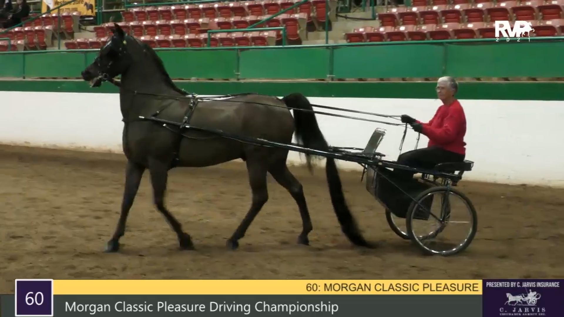 RSP21 - Class 60 - Morgan Classic Pleasure Driving Championship