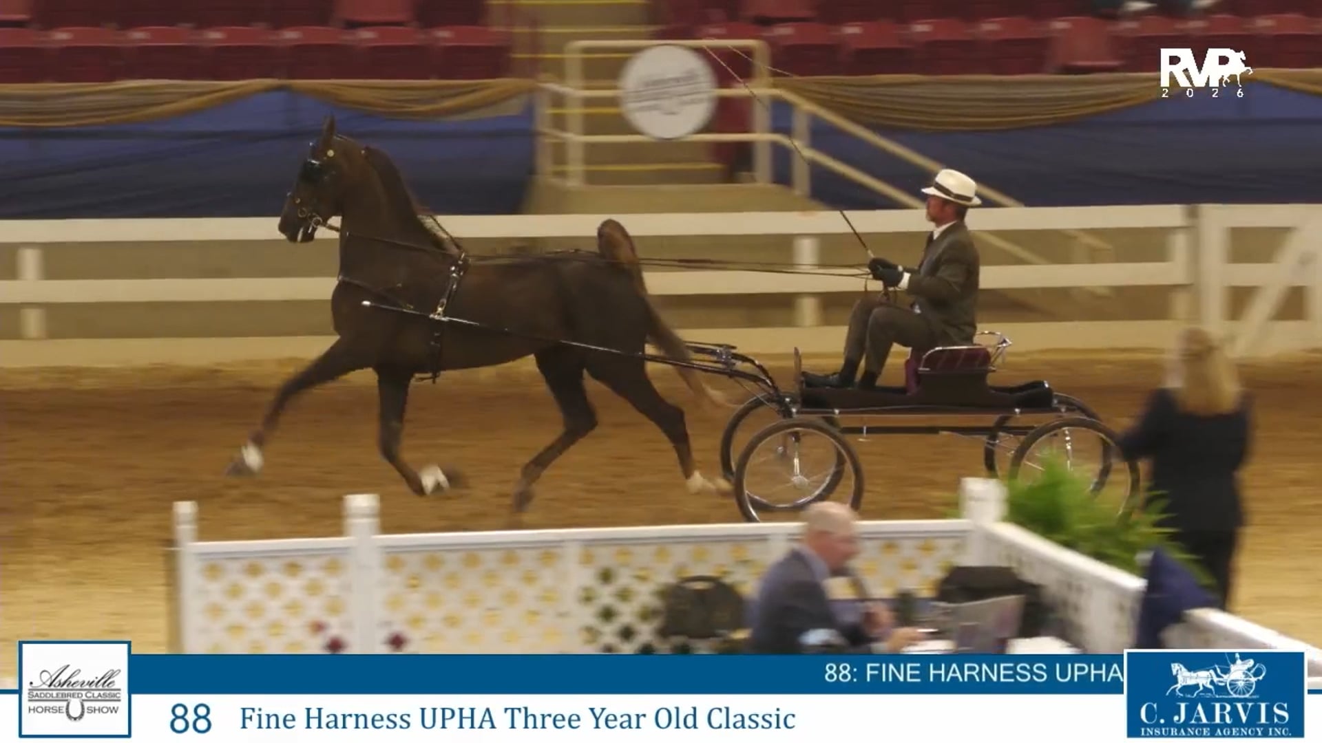 ASC26 - Class 88 - Fine Harness UPHA Three Year Old Classic
