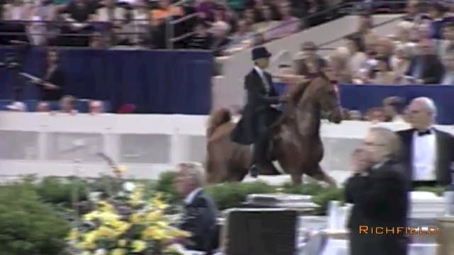 1998 WCHS - Ladies Five Gaited Stake