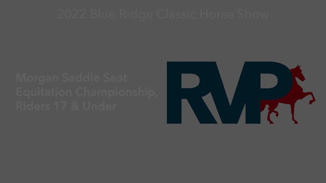 BR22 - Class 131 - Morgan Saddle Seat...