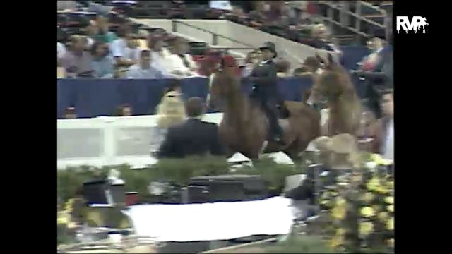 1998 WCHS - Class 203 Equitation Kent...