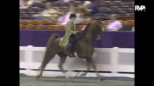 1999 WCHS - Class 88 Junior Exhibitor...