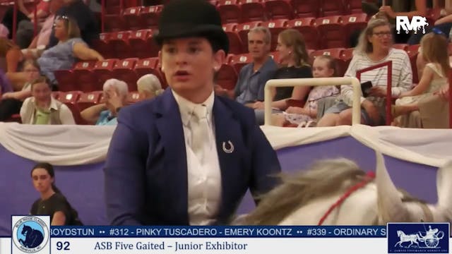 BRC25 - Class 92 - ASB Five Gaited Ju...