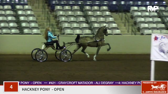 2020 SSFF - Class 4 Hackney Pony Open