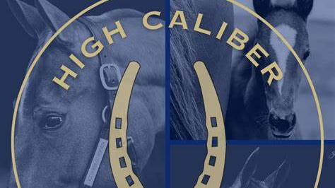 To Market, To Market - High Caliber Stables