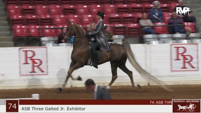 RR23 - Class 74 - ASB Three Gaited Ju...