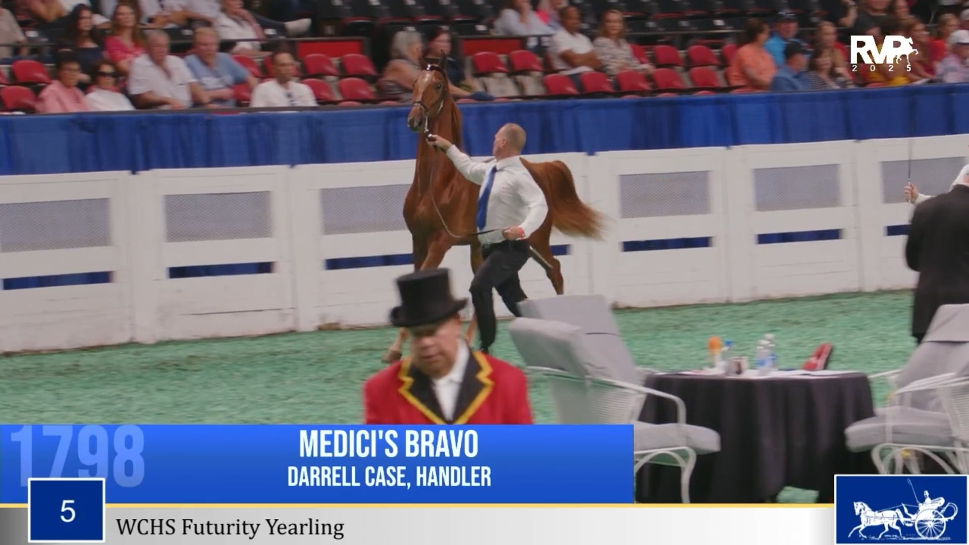 WCHS25 - Class 5 - WCHS Futurity Yearling