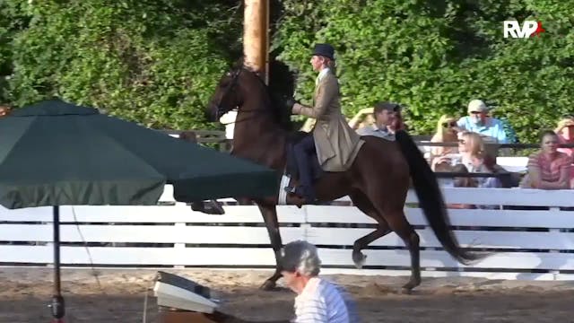 RC15 - Class 49 - Three Gaited Show P...