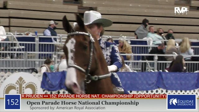 2020 AR - Class 152 Open Parade Horse...