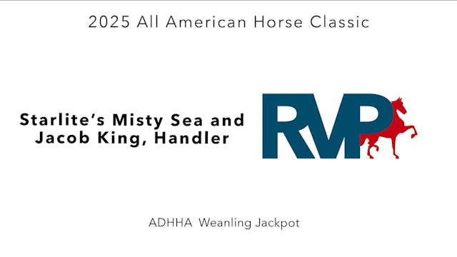 AAC25 - Class 90 - Starlite's Misty S...