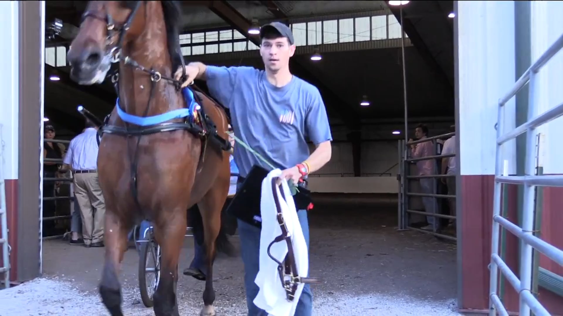 MW17 - Class 188 - B52 - Championship