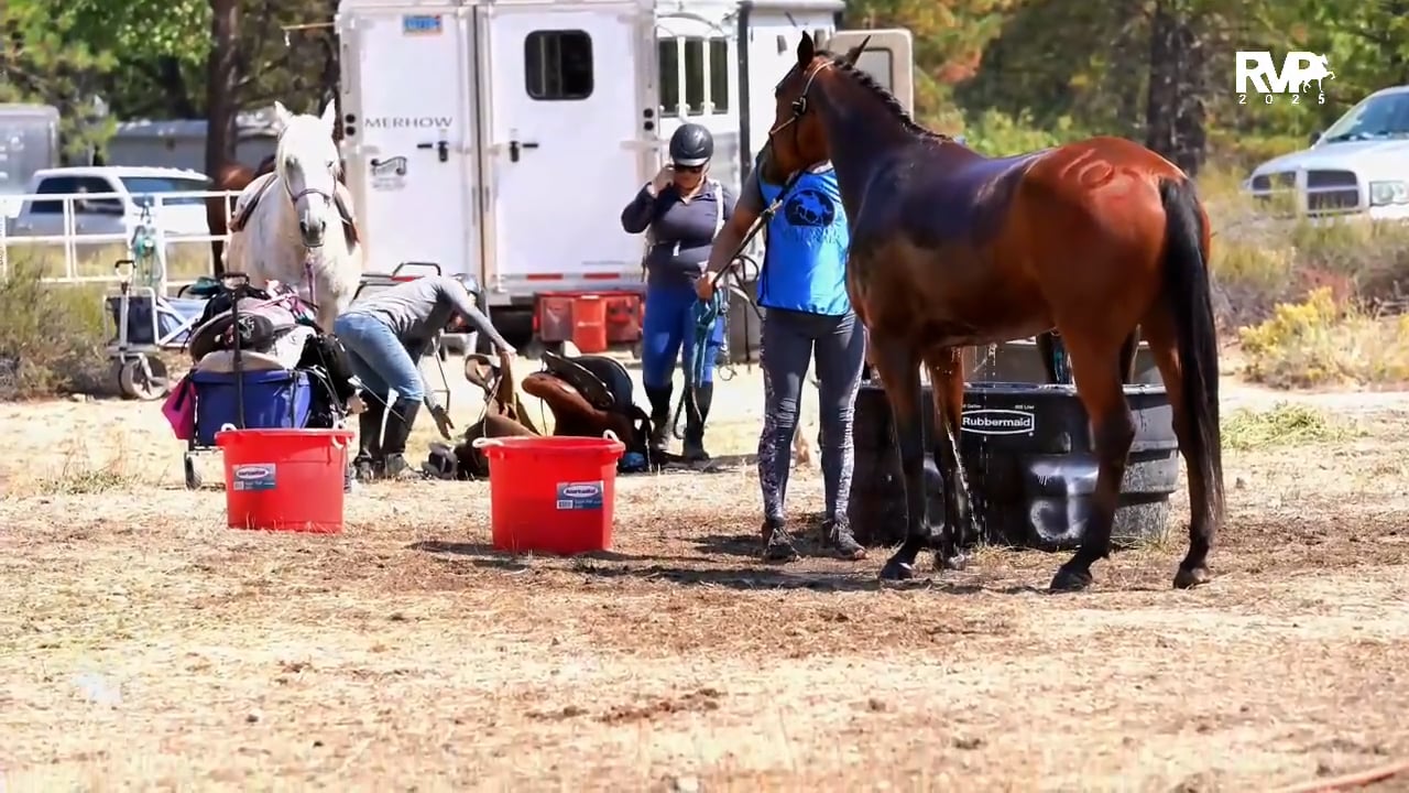2025 Arabian Nationals - Monday Morning - Pavilion