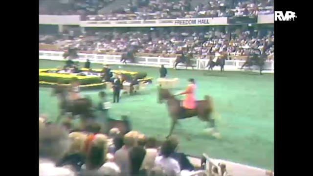 1988 WCHS Class 150 Junior Exhibitor ...
