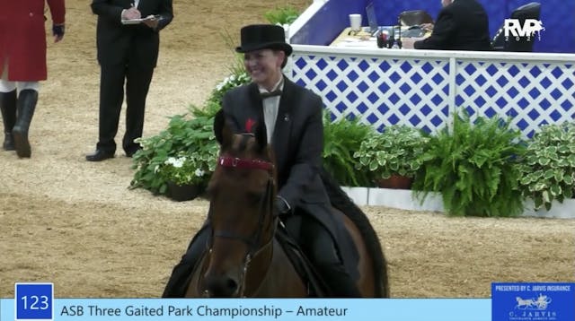ASC21 - Class 123 - ASB Three Gaited ...