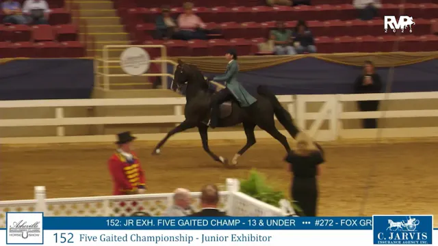 ASC26 - Class 152 - Five Gaited Champ...