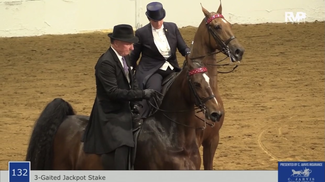 BB21 - Class 132 - Three Gaited Stake