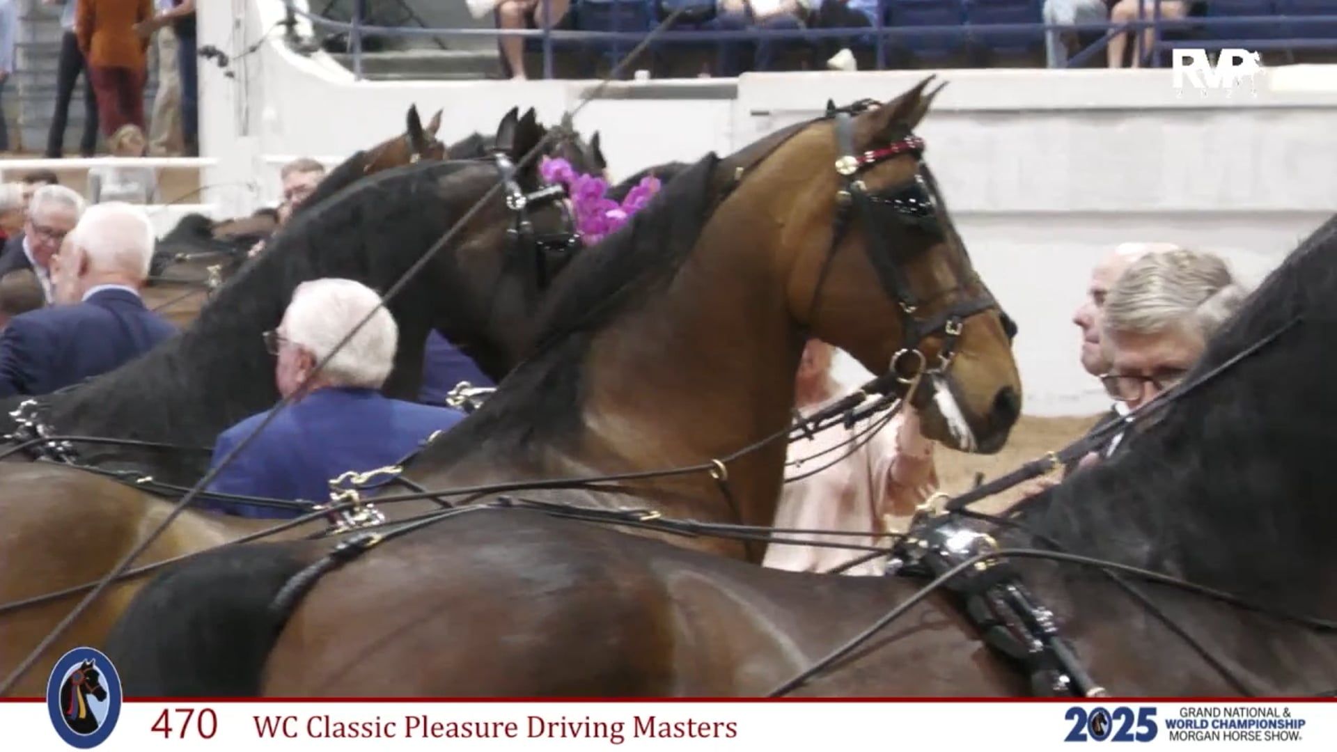 MGN25 - Saturday Afternoon Recap