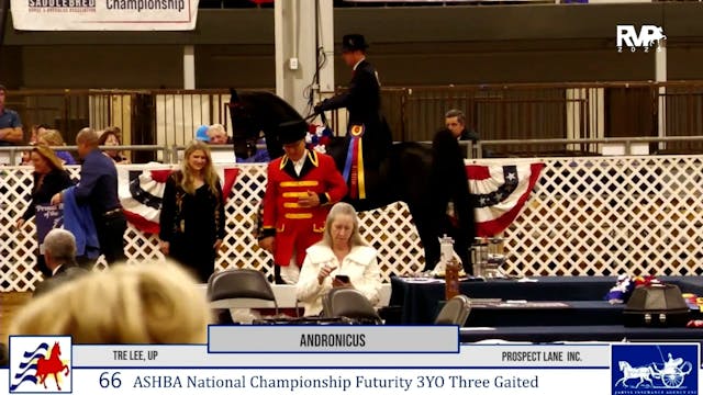 2025 All American Classic Horse Show ...