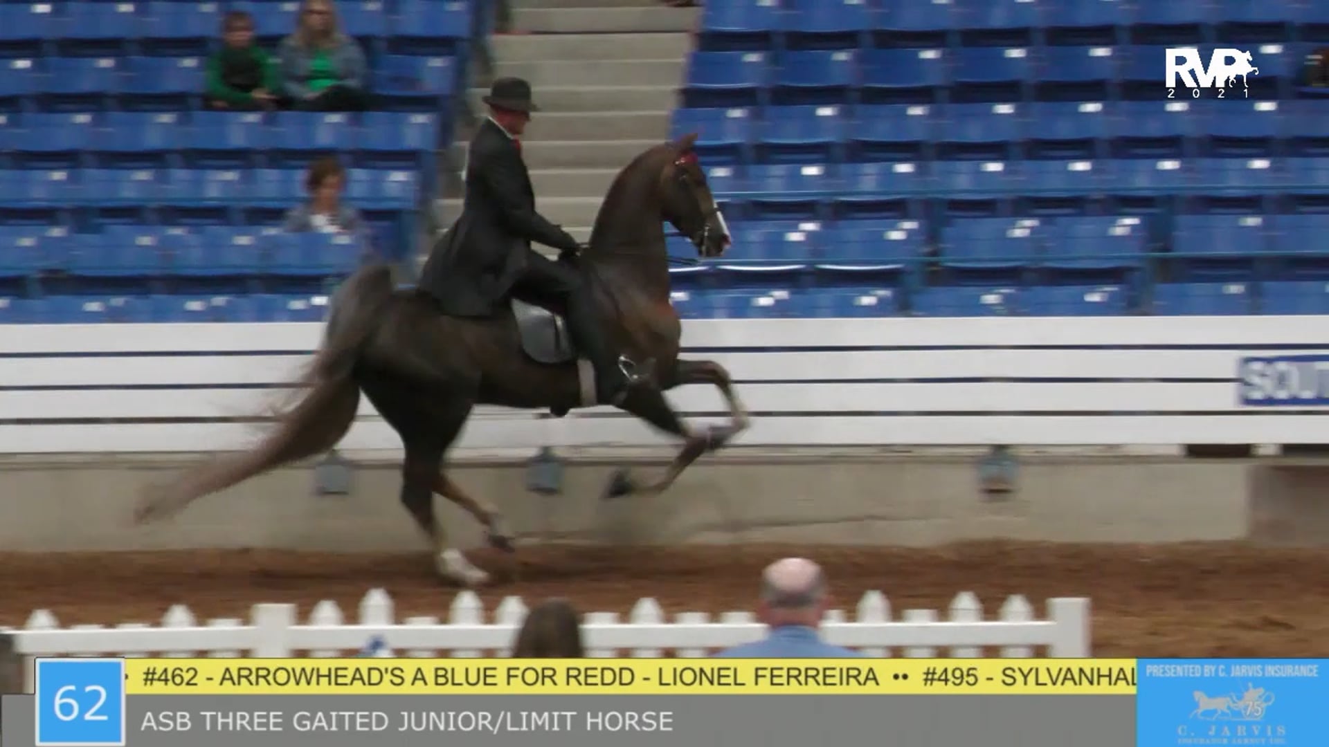 SSSF21 - Class 62 - ASB Three Gaited Junior-Limit Horse