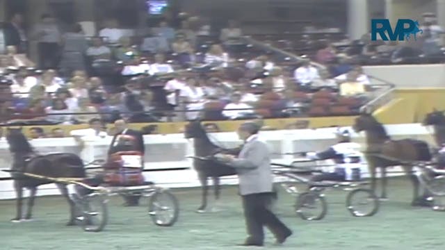 1987 WCHS Class 30 Amateur Roadster Pony