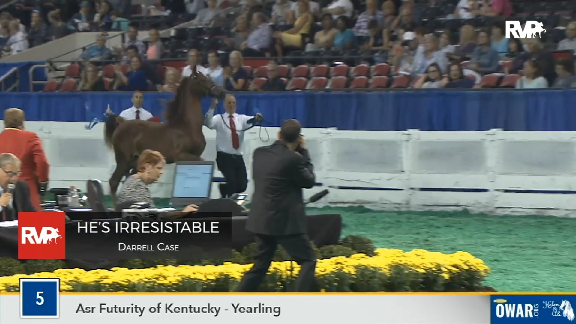 2019 World's Championship Horse Show - Tuesday Evening