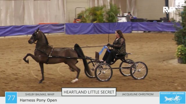 GASP23 - Class 77 - Heartland Little ...