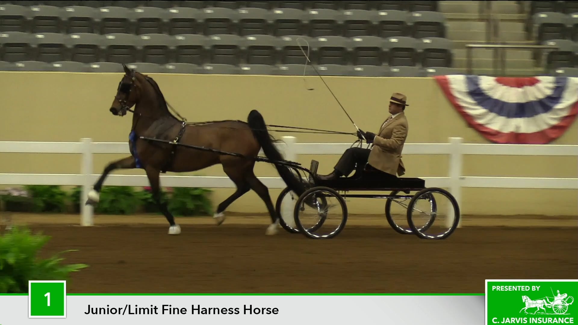 KYSP18 - Class 1 - Fizzy Heir