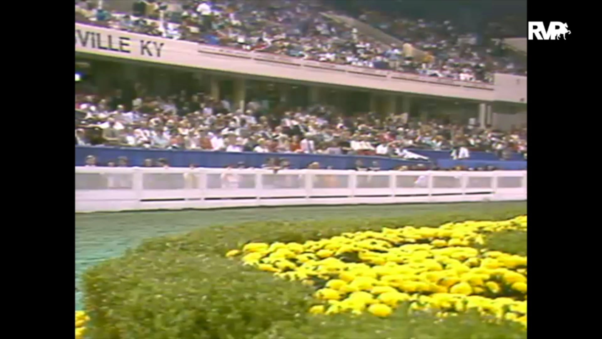 1993 WCHS Class 176 Hackney Pony Grand Championship