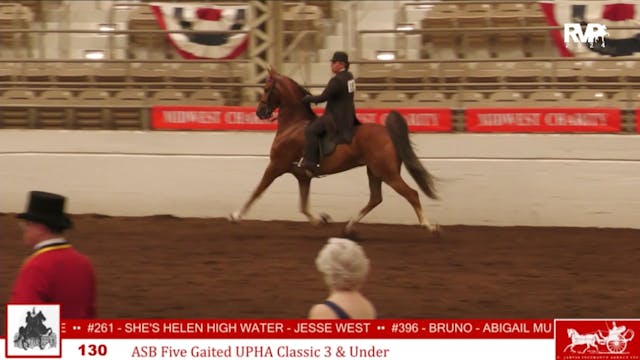 MW24 - Class 130 - ASB Five Gaited UP...