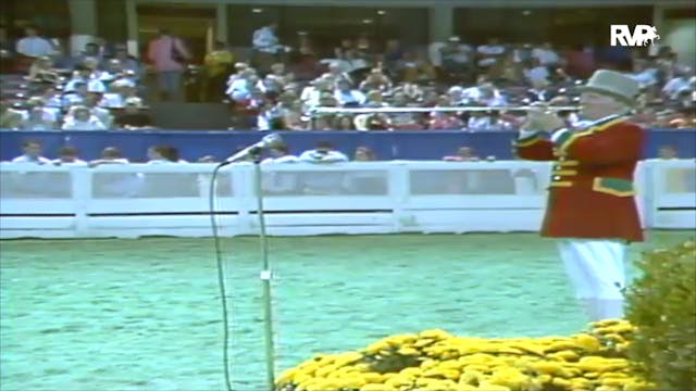 1992 WCHS Class 85 Five Gaited Mares