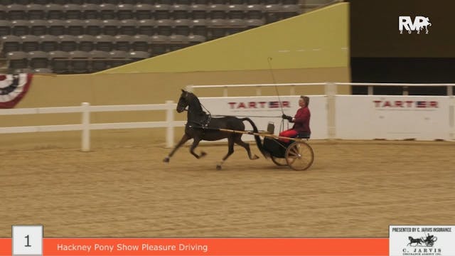 KYFC22 - Class 1 - Hackney Pony Show ...