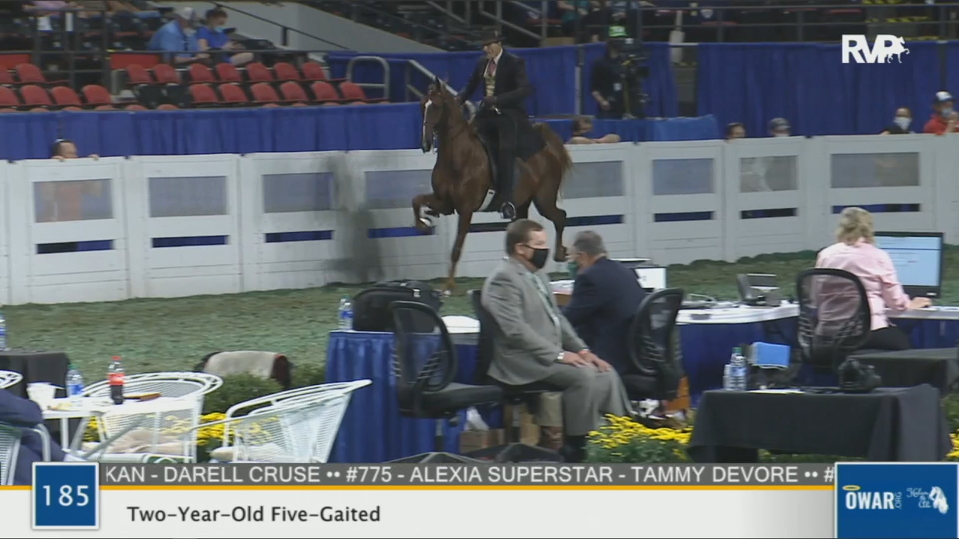 WCHS 2020 Class 185 - Two-Year-Old Five-Gaited
