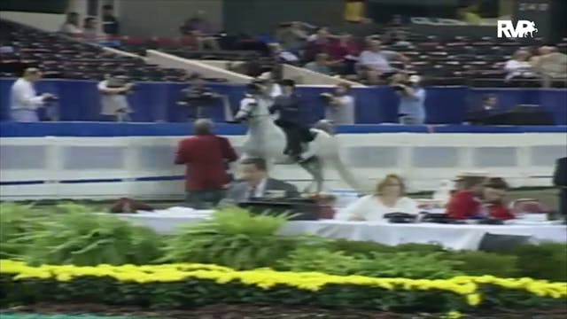 2000 WCHS Class 166 Amateur Park Hors...