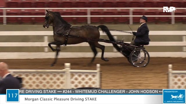 2020 ASF - Class 117 Morgan Classic P...