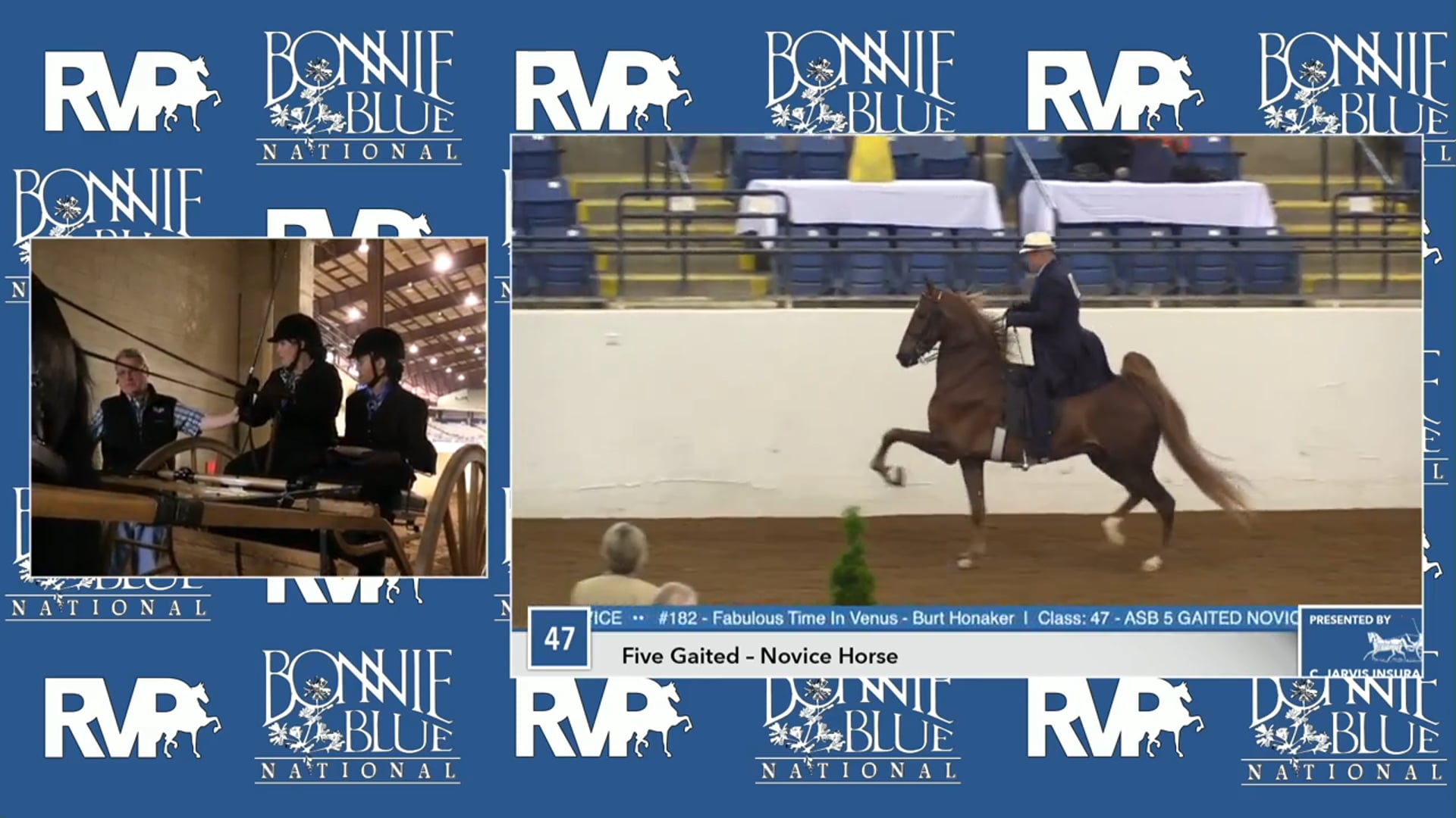 BB17 - Harper Jr - Friesian Carriage Driving Open 