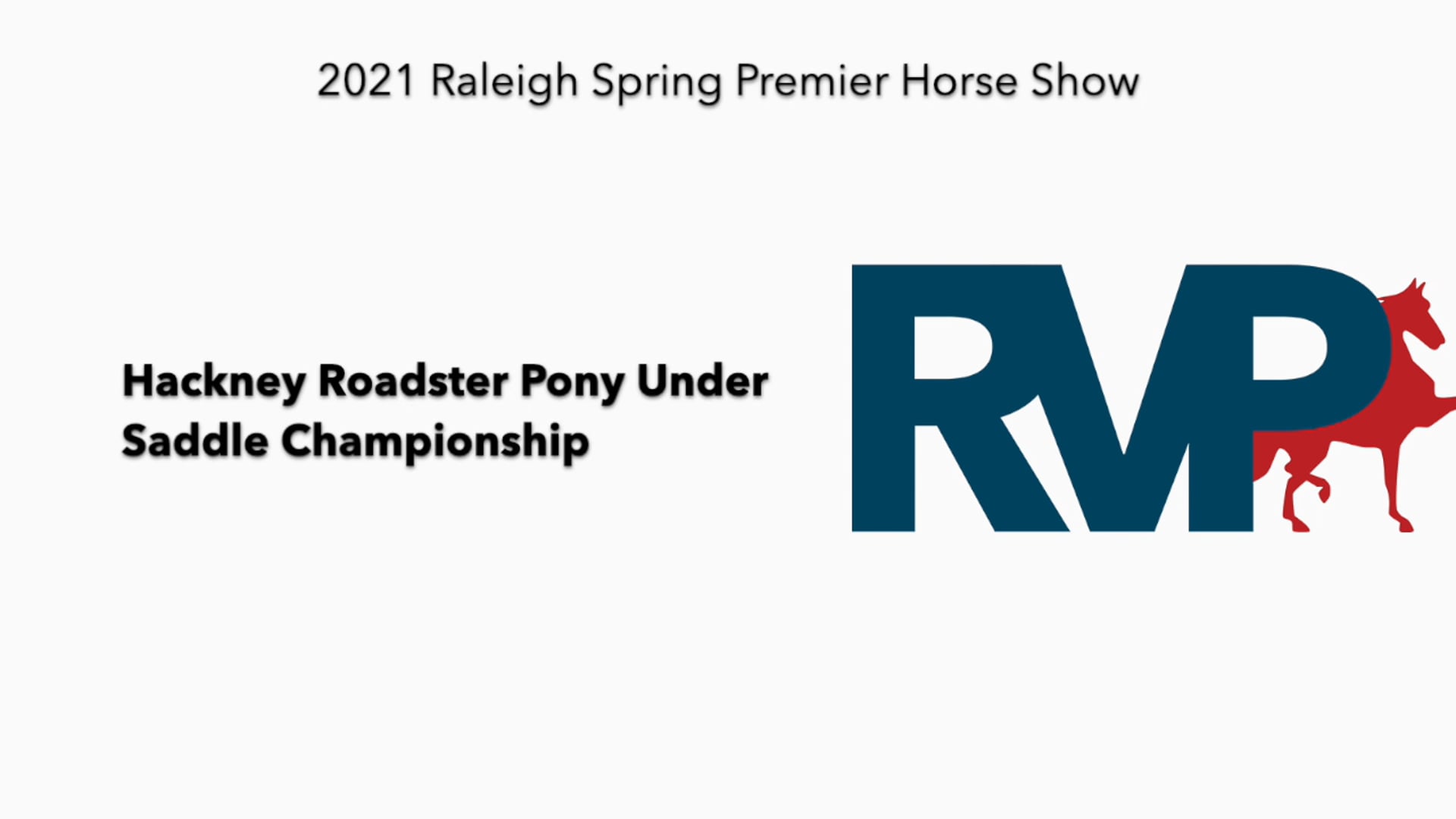 RSP21 - Class 84 - Hackney Roadster Pony Under
Saddle Championship