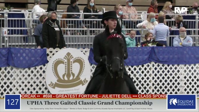 2020 AR - Class 127 UPHA Three Gaited...