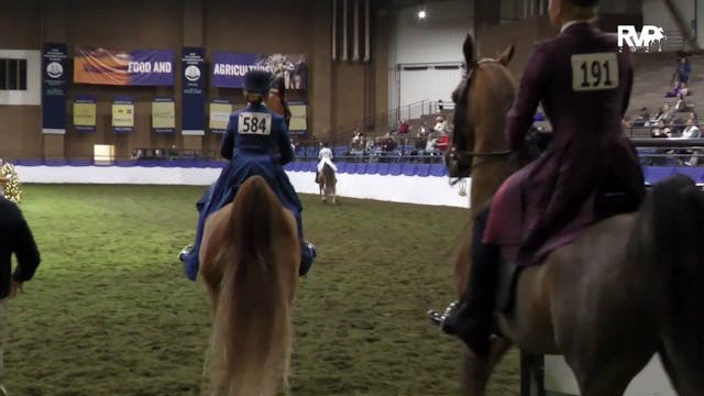 AR24 - Class 84 - Three Gaited Pony