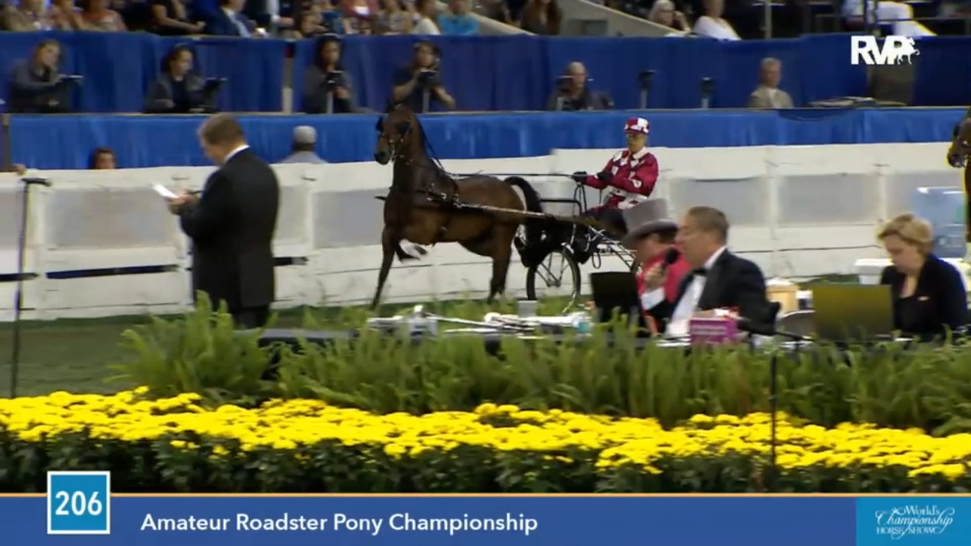 2015 WCHS - Class 206 Amateur Roadster Pony Championship