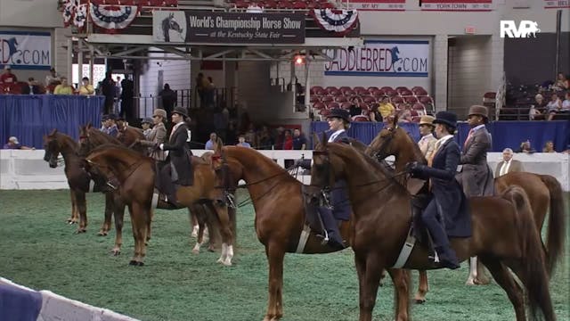 2012 WCHS - Class 74 Equitation Open ...