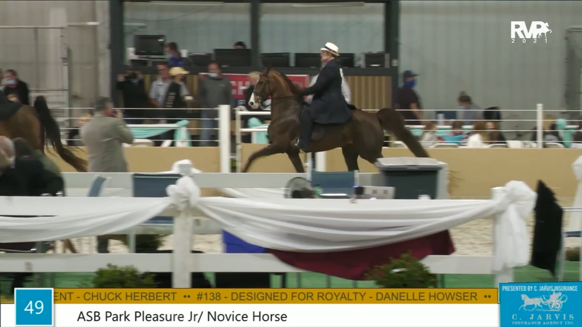 BS21 - Class 49 - ASB Park Pleasure Junior-Novice Horse