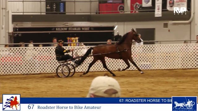 AAC25 - Class 67 - Roadster Horse to ...