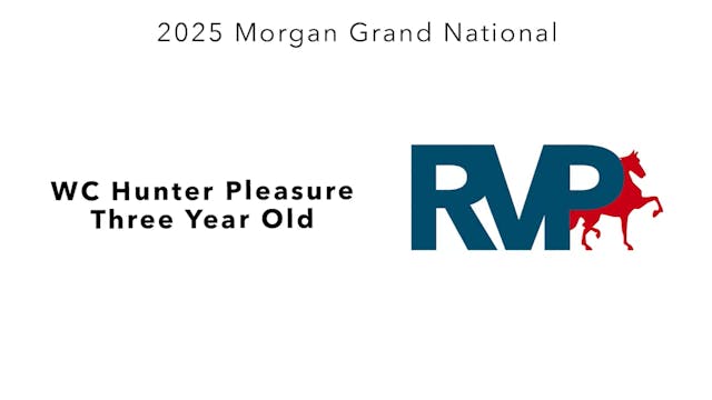 MGN25 - Class 157 - WC Hunter Pleasur...