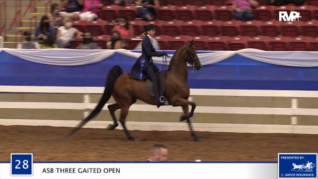 2020 BR - Class 28 Open Three Gaited